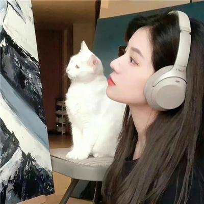 此刻姬情 在线观看