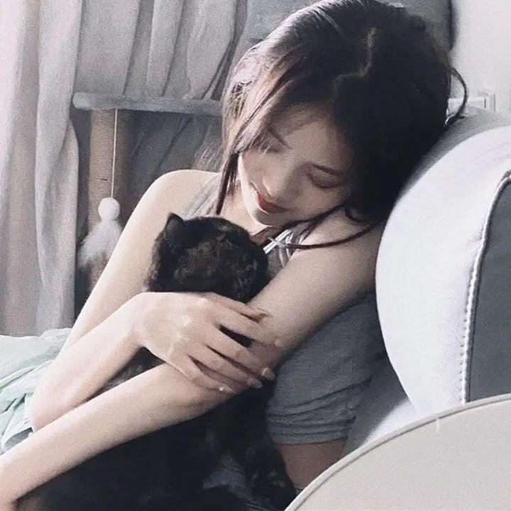 明星伙伴 第一季 在线观看
